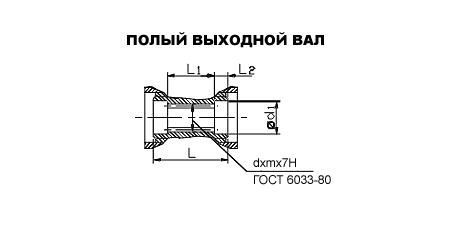 полый выходной вал